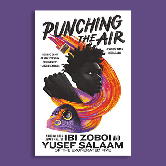 Punching The Air by Yusef Salaam & Ibi Zoboi, Summary and Impact